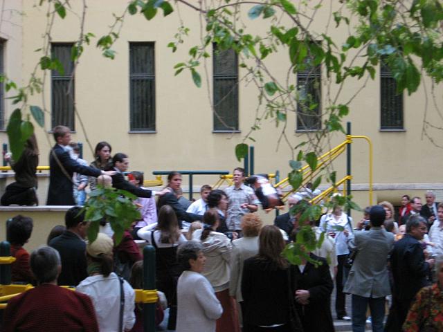 IMG 0413