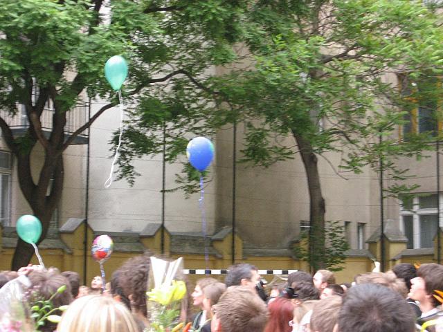 IMG 0441