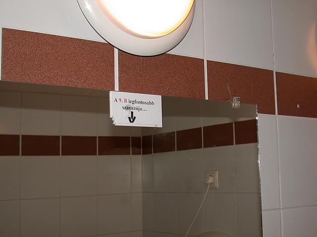 DSCN3384
