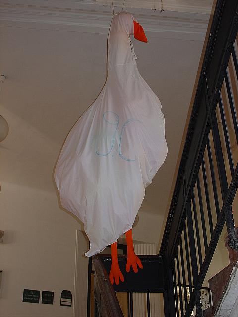 DSC01149