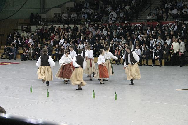 IMG 5864