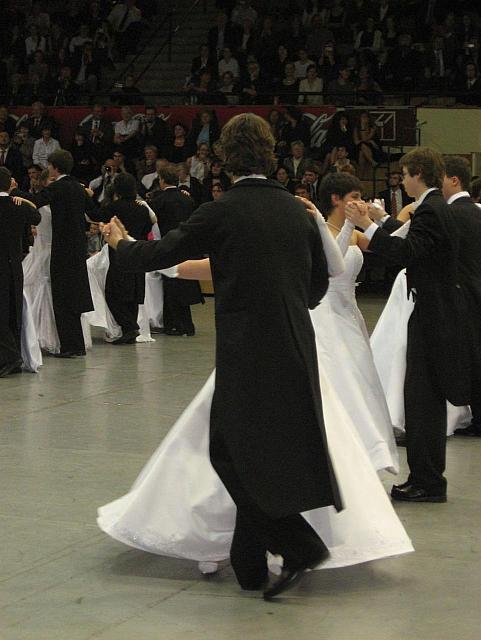 IMG 0202