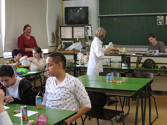 img 6105