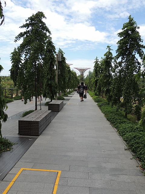 DSCN2638