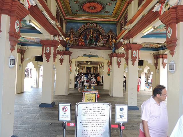 DSCN2811