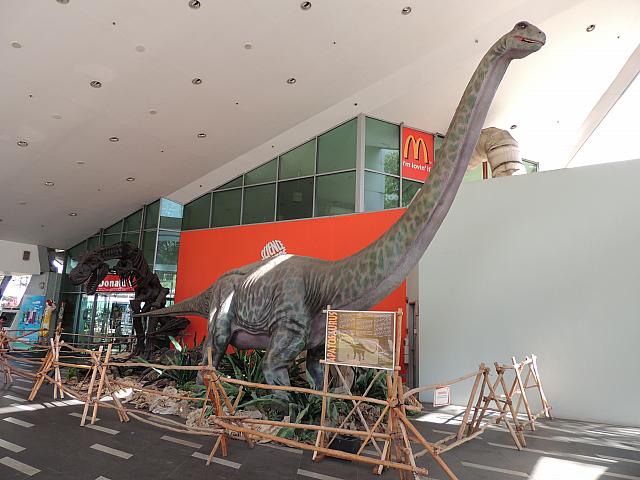 DSCN2856