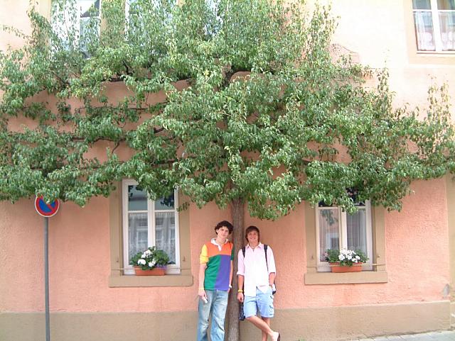 DSCF0008