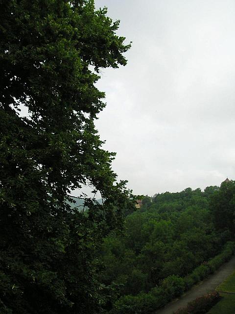 P1010058