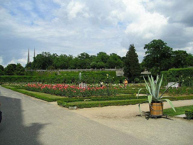 P1010128