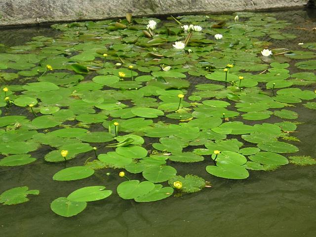 P1010214