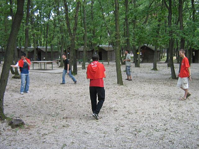 IMG 5504