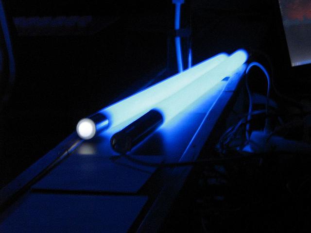 IMG 5773