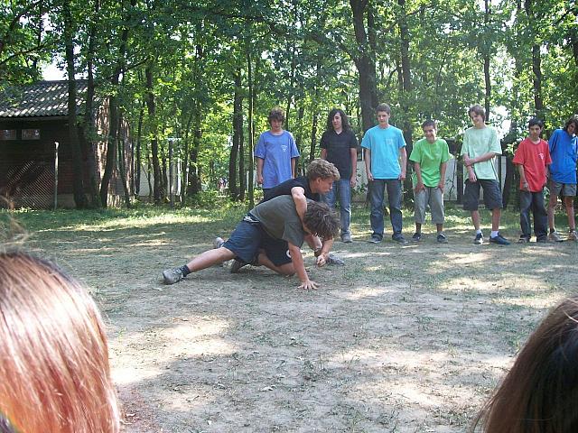 Hajni0842