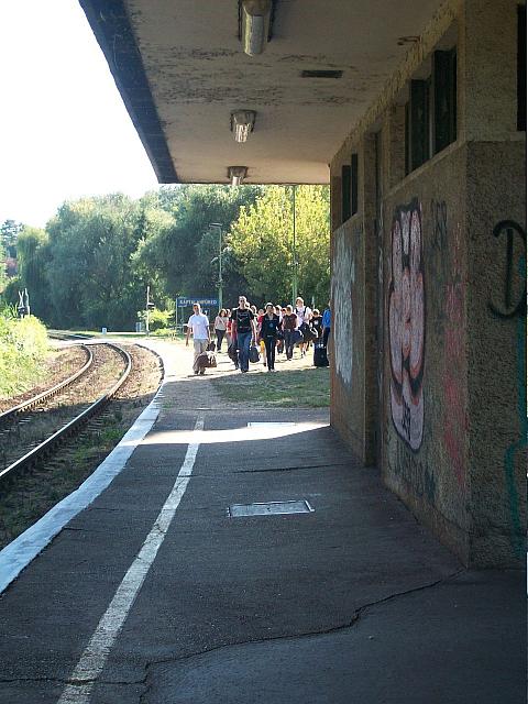 Hajni0980