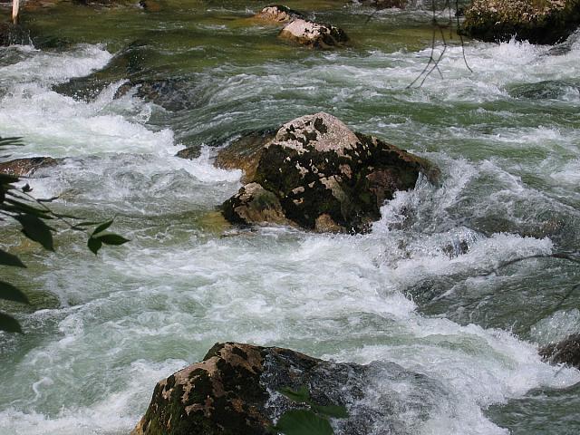 img 9193