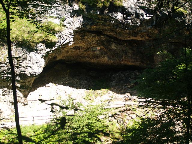p7010435