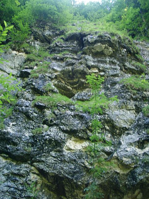 p7010438
