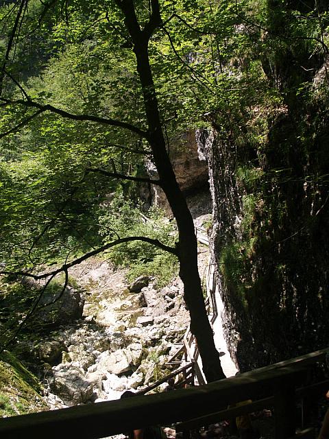 p7010458