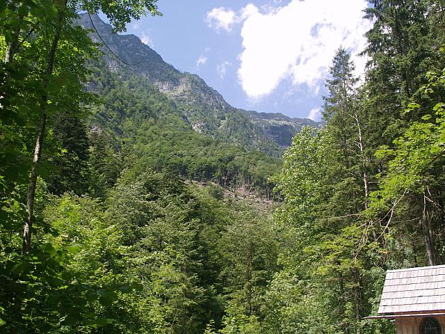 p7010464