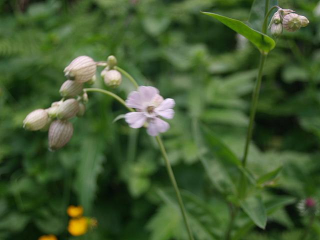 p7020512