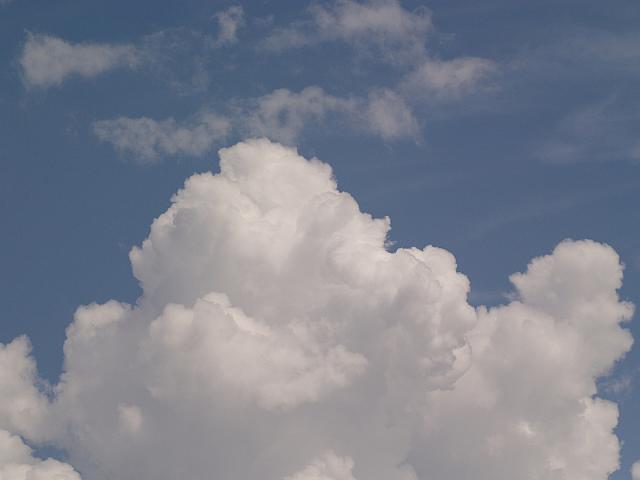 p7020560