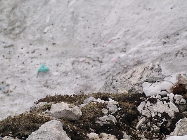 p7020562