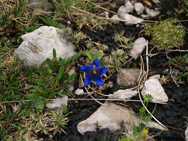 p7020584