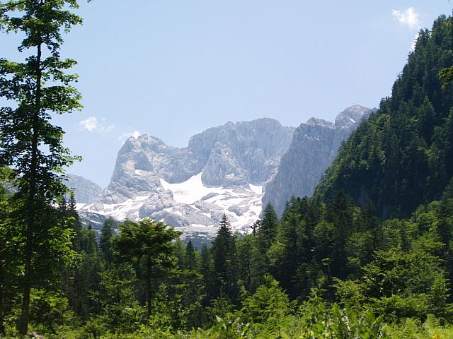 p7030635