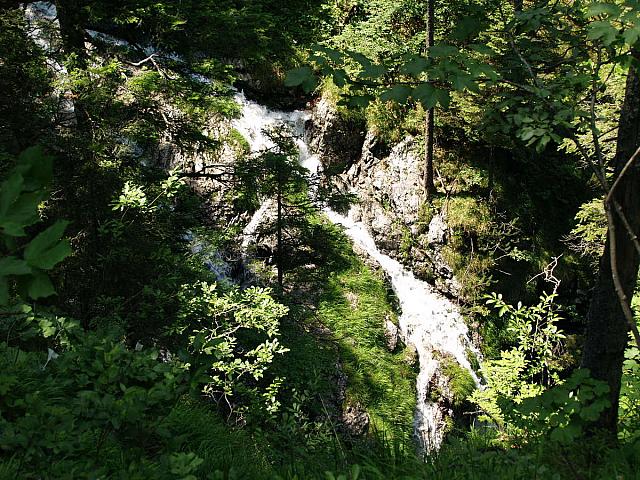 p7030638