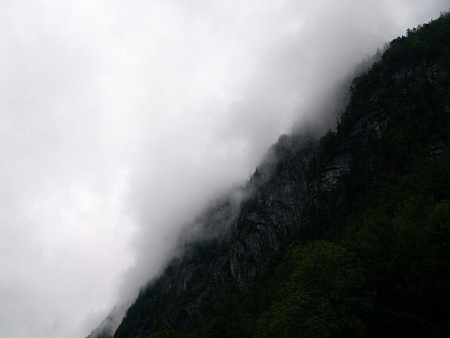 p7040661