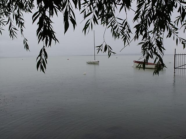 DSCF4570