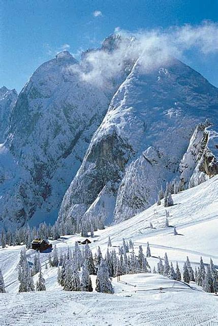 zwieselalm1