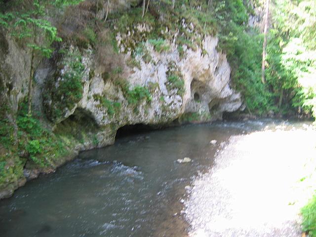 img 0288