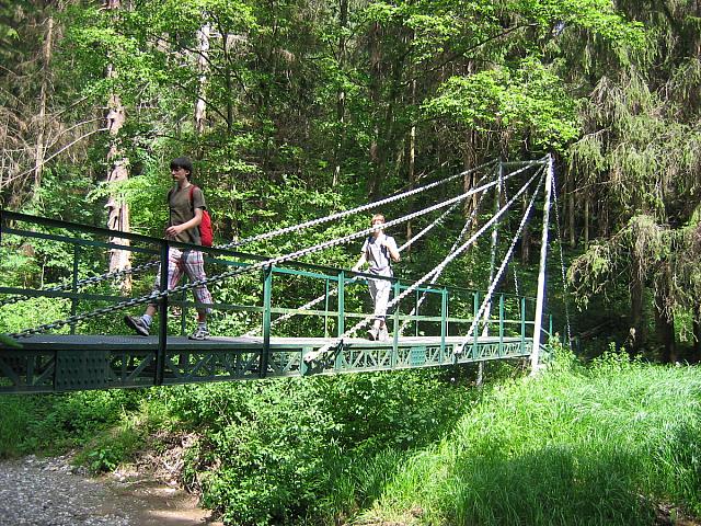 img 0289