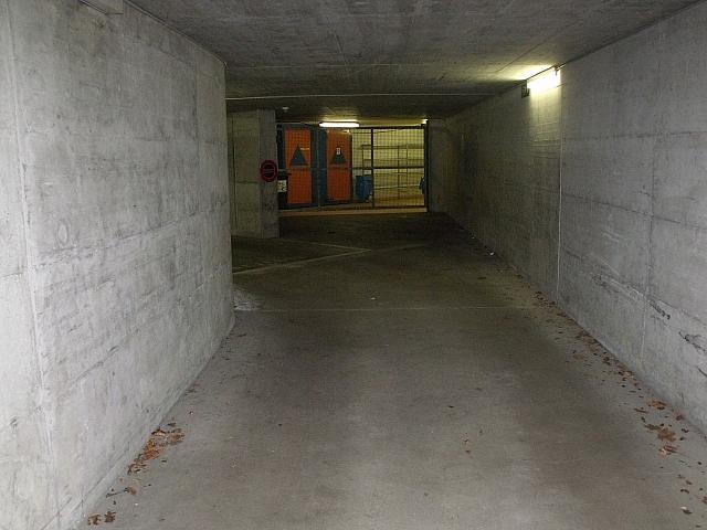DSCF8350