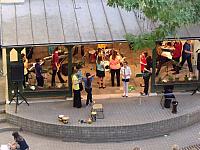 DSCF6831