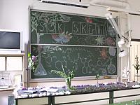 DSCF9596