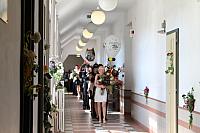 IMG 2491