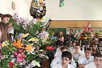 IMG 2518