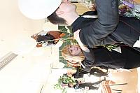 IMG 2614