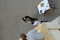 IMG 2887