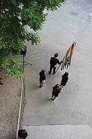 IMG 1483