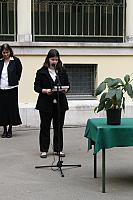  MG 4905