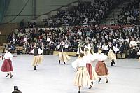 IMG 5867