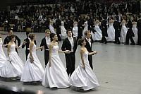 IMG 6045