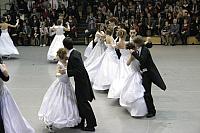 IMG 6071