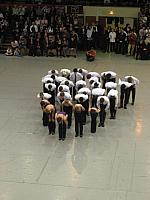 IMG 0166