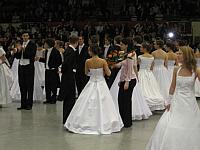 IMG 0221