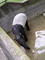 P1010218