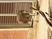 dscn0860